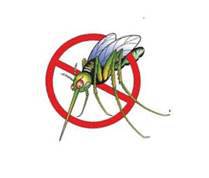 stop insectes
