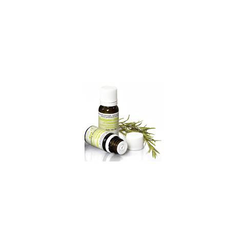 CANNELLE DE CEYLAN Huile Essentielle  Pranarom Antivirale et stimulant immunitaire
