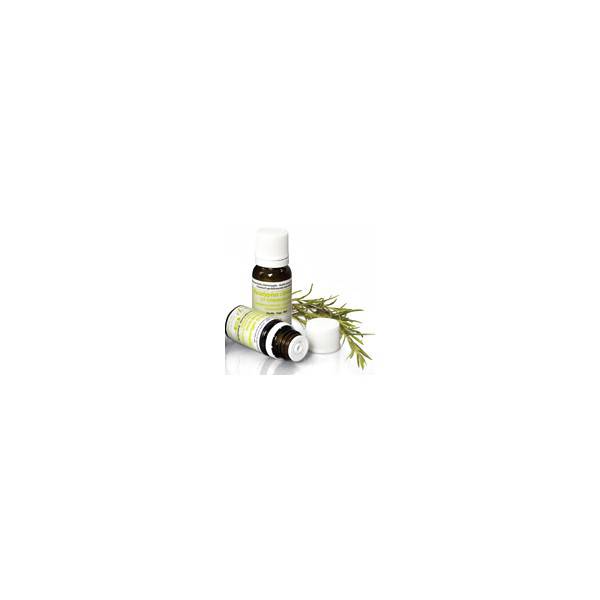 PRANAROM HUILE ESSENTIELLE BIO EUCALYPTUS RADIE 10ML - Pharmacie Cap3000