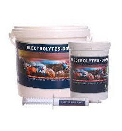 ELECTROLYTES DOSE 4KG