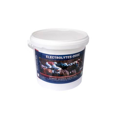 ELECTROLYTE 4KG Récupération après l'effort