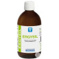 ERGYSIL Nutergia solution de 500ml