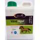 VENOREGUL SOLUTION BUVABLE