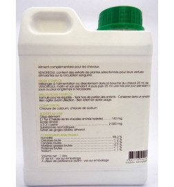 VENOREGUL SOLUTION BUVABLE