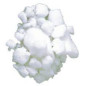 CAMPHRE Tablette 25 g CAMPHRE Tablette 25 g