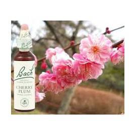 FLEUR DE BACH 6 PRUNUS 