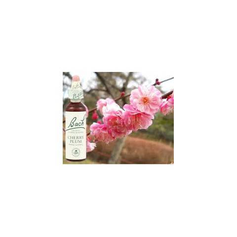 FLEUR DE BACH 6 PRUNUS 