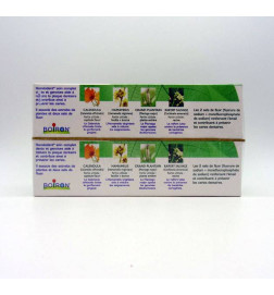 HOMEODENT CITRON LOT 2 TUBES