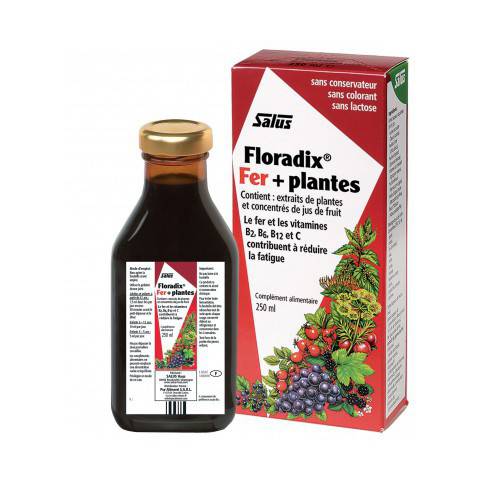 FLORADIX FER + PLANTES 250 ml énergie et vitalité