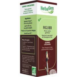 FIGUIER Bourgeons macérat Bio Herbalgem