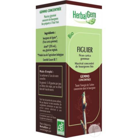 MACERAT FIGUIER BIO HERBALGEM Régulateur endocrinien