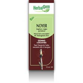 MACERAT DE NOYER BIO HERBALGEM