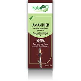 MACERAT AMANDIER BIO HERBALGEM circulation sanguine