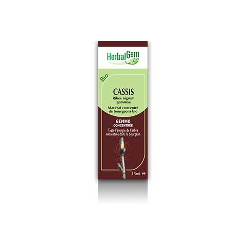 MACERAT CASSIS BIO HERBALGEM antirhumatismale et anti-inflammatoire