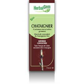 CHATAIGNIER Bourgeons macerat bio Herbalgem