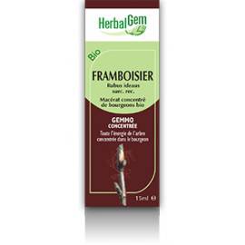 MACERAT FRAMBOISIER BIO HERBALGEM