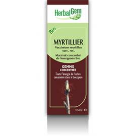 MACERAT MYRTILLIER BIO HERBALGEM