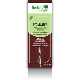 MACERAT POMMIER BIO HERBALGEM Pouvoir ssédatif