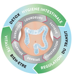 COLONPURE Purifiant intestinal Boite de 40 gélules
