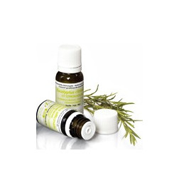 SOMMEIL HUILES ESSENTIELLES DIFFUSION PRANABB