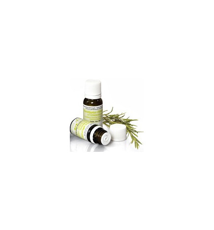 SOMMEIL HUILES ESSENTIELLES DIFFUSION PRANABB