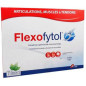 FLEXOFYTOL articulations capsules 180 FLEXOFYTOL articulations capsules 180