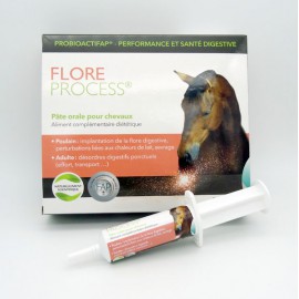 FLORE PROCESS PATE ORALE CHEVAUX