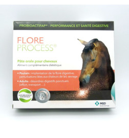 FLORE PROCESS PATE ORALE CHEVAUX