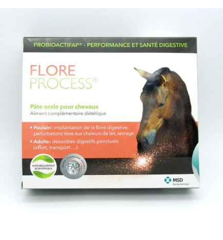 FLORE PROCESS PATE ORALE CHEVAUX