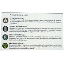FITOMAGRA LYNFASE