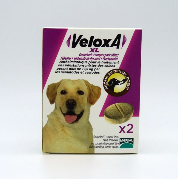 VELOXA XL Vermifuge chien comprimés à croquer