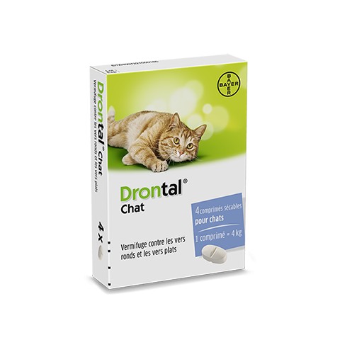 DRONTAL BT4 CHAT