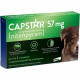 CAPSTAR CHIEN 57 mg Boite de 6 comprimés