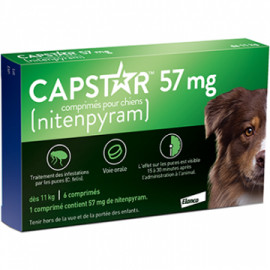 CAPSTAR CHIEN 57 mg boite de 6 comprimés
