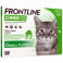 FRONTLINE COMBO CHAT et FURET 3 pipettes