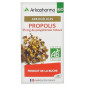 ARKOGELULES PROPOLIS BIO BTE 40 GELULES ARKOGELULES PROPOLIS BIO BTE 40 GELULES