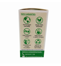 ARKOGELULES PROPOLIS BIO BTE 40 GELULES