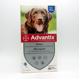 ADVANTIX GRAND CHIEN  6 Pipettes