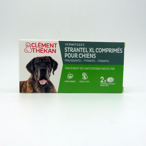 STRANTEL CHIEN XL COMPRIME