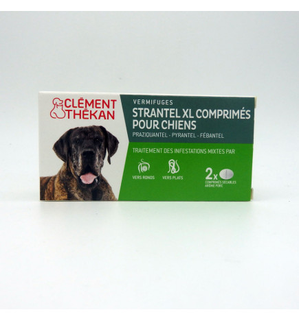 STRANTEL CHIEN XL COMPRIME