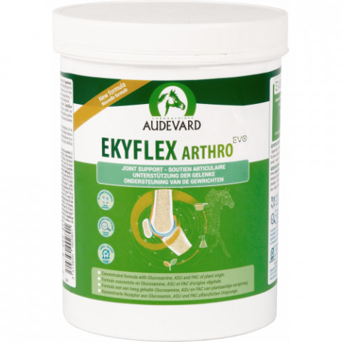 EKYFLEX ARTHRO EVO 450G