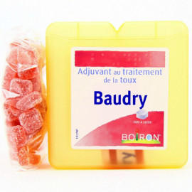 BAUDRY BOIRON pâte à sucer 70g