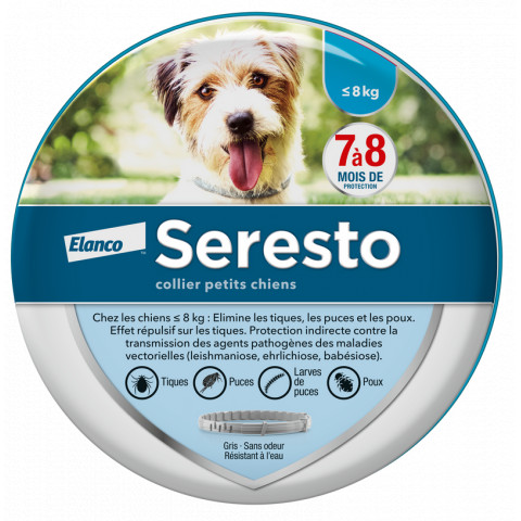 SERESTO COLLIER PETIT CHIEN lapharmacieverte