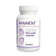 AMYLADOL DOLFOS 30 comprimés
