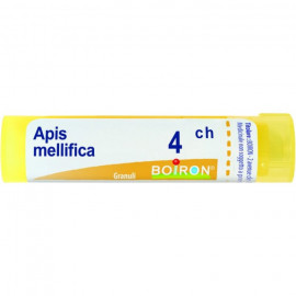 APIS MELLIFICA TUBE 4CH BOIRON