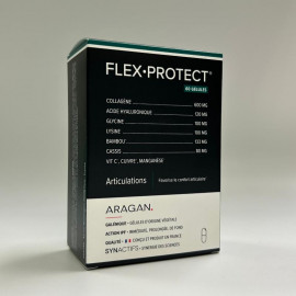 FLEX-PROTECT Synactifs Aragan 60 gélules