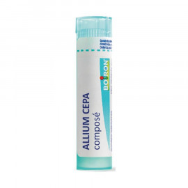 ALLIUM CEPA CPSE GRAN T/4G