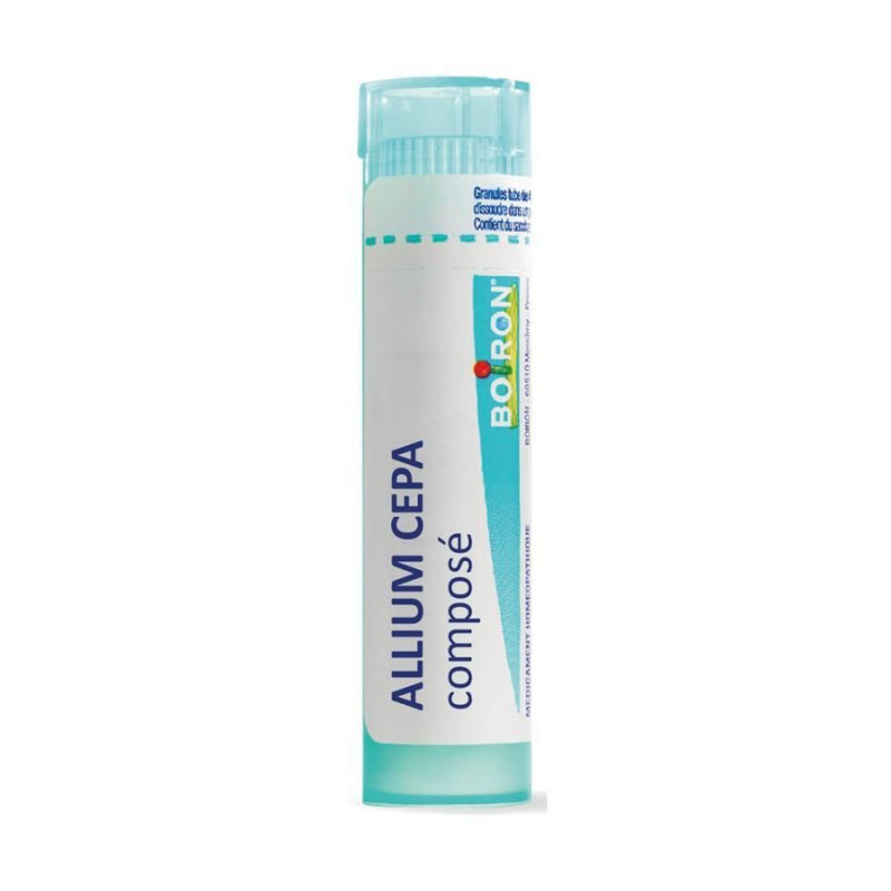 ALLIUM CEPA CPSE GRAN T/4G ALLIUM CEPA CPSE GRAN T/4G