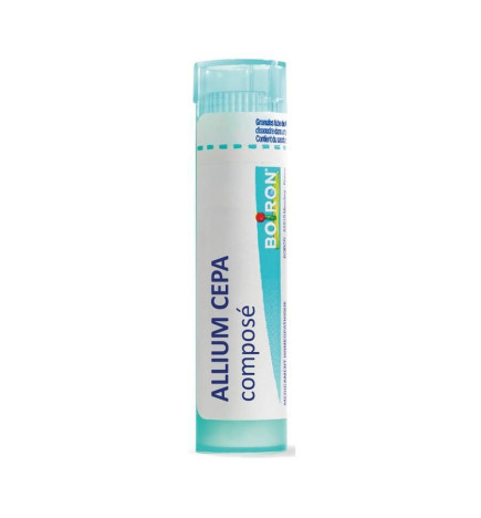 ALLIUM CEPA CPSE GRAN T/4G