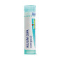 ALLIUM CEPA CPSE GRAN T/4G ALLIUM CEPA CPSE GRAN T/4G